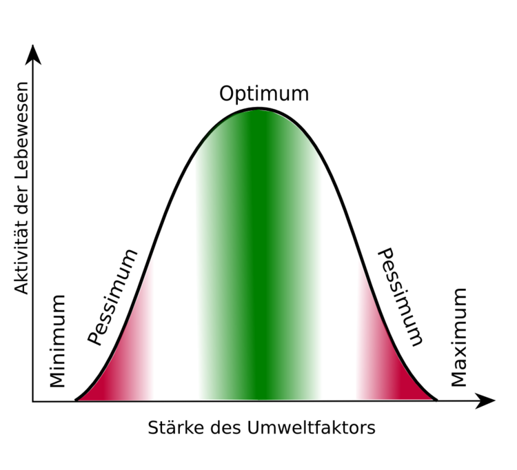 Abbildung 2. Reaktion der Lebewesen auf einen Umweltfaktor entspricht der Glockenkurve oder der GauÃƒÂŸ-Normalverteilung. Dargestellt sind Toleranzbereich, Pessimum (rot) und PrÃƒÂ¤ferendum (grÃƒÂ¼n). Problem in der Natur: Oft sind die Umweltfaktoren in ihrer Wirkungsweise miteinander gekoppelt; hier wird immer nur die Toleranz gegenÃƒÂ¼ber einem einzelnen Umweltfaktor betrachtet!