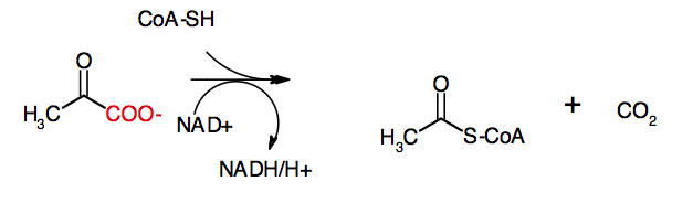 Oxidative Decarboxylierung