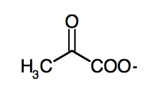 Pyruvat