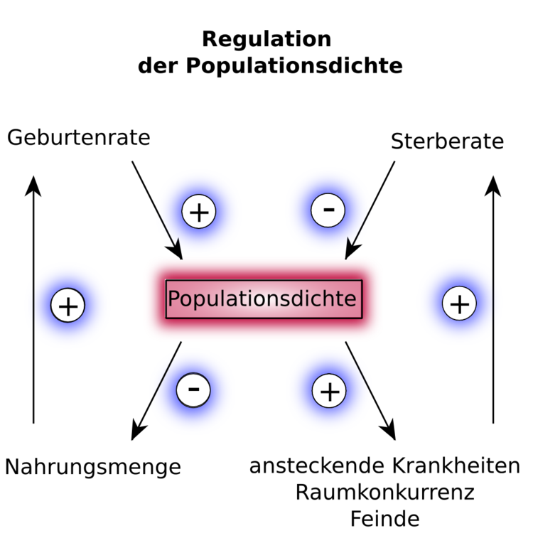 regulation-populationsdichte