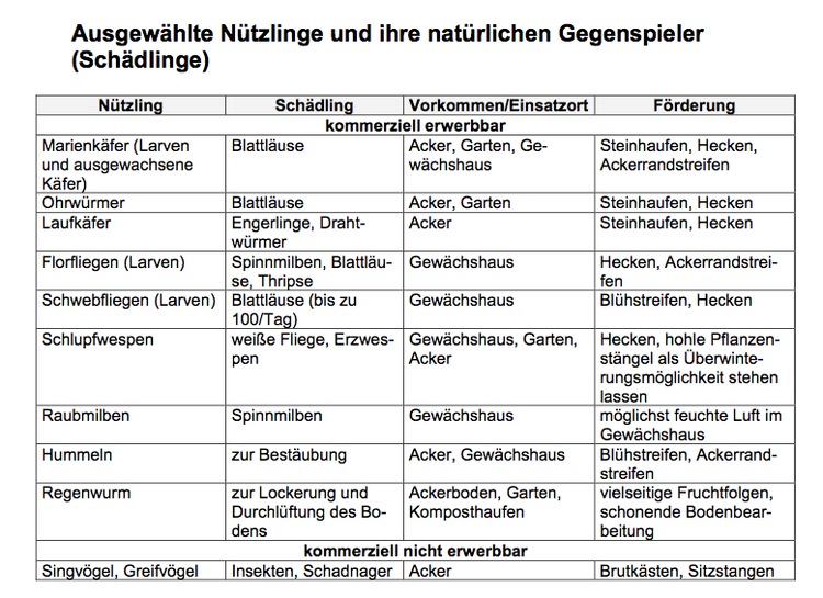 NÃ¼tzlinge und SchÃ¤dlinge: im Ã¶kologischen Landbau kÃ¶nnen die natÃ¼rlichen NÃ¼tzlinge gezielt eingesetzt werden. (Mit freundlicher Genehmigung von Bioland).