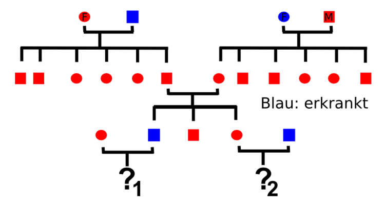 Stammbaum autosomal rezessiv