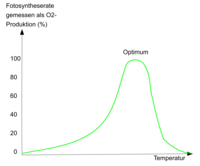 Die Fotosyntheserate in Abh�ngigkeit der Au�entemperatur. Man beachte, dass Lebewesen bei Temperaturerh�hung nicht unendlich besser arbeiten!