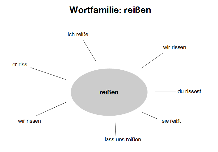 Ein Mind-Map zur Wortfamilie reißen mit den verschiedenen Formen des Worts.