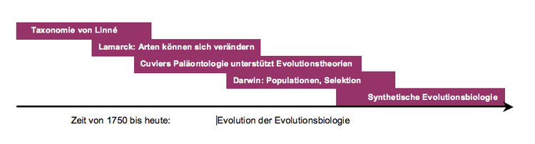 Entwicklung der Evolutionsbiologie
